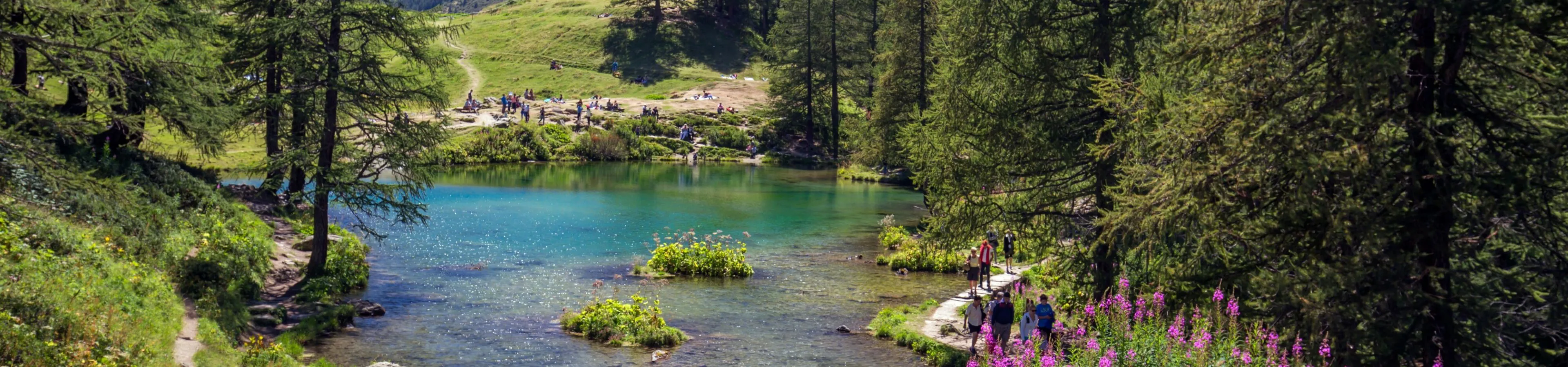 Header Aussteller Anleitung (2).jpg