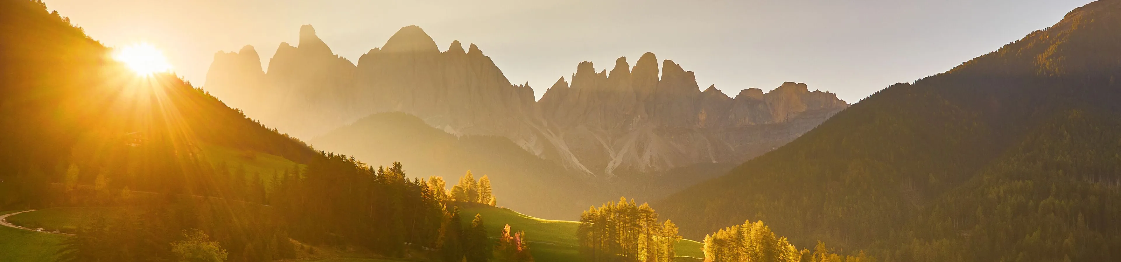 Header Aussteller Anleitung (3).jpg
