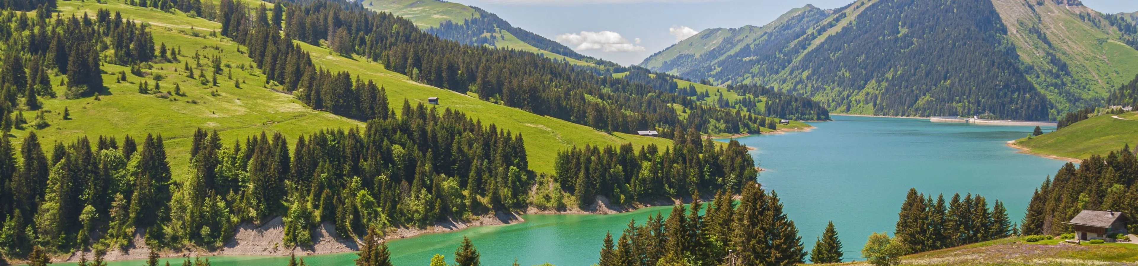 Header Aussteller Anleitung (5).jpg